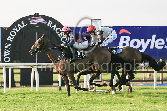 01st Motion In Limine  and ( 11 , black, three pink spots ) Trainer - William P Murphy , Owner - Ms Natasha Langan