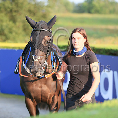 04th Kalmira and ( 6 , yellow, red star ) Trainer - S Crawley , Owner - Eyeroller Syndicate