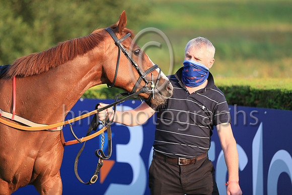 08th Darraughs Diamond and ( 3 , yellow ans blue stripes ) Trainer - D M Christie , Owner - Declan Donohoe