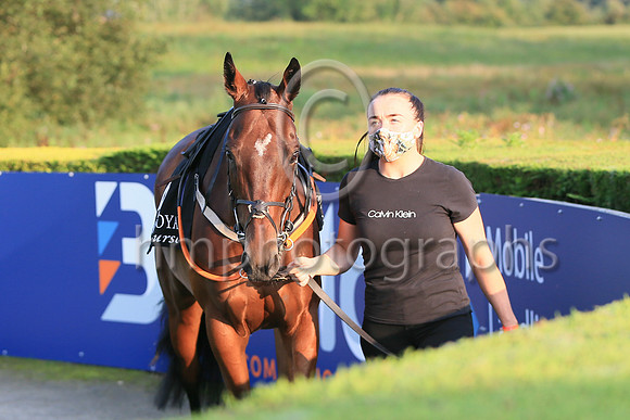 05th Fanoir and ( 4 , maroon, light blue star ) Trainer - C O Dwyer , Owner - Hugo Kane