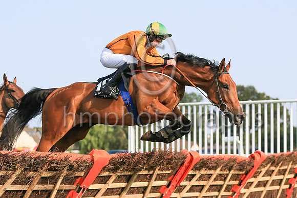 10th Wild Hunt and ( 10 , orange, black seams ) Trainer - J McAuley , Owner - James McAuley