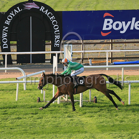 01st Mon Storm  and ( 5 , light green, white diamond ) Trainer - V Wilson , Owner - Victor Wilson
