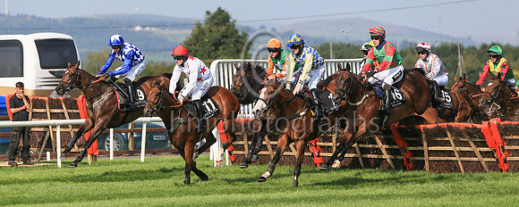 01st Realist and ( 9 , blue and white diamonds ) Trainer - Mrs D Foster , Owner - R Stokes