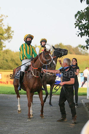 08th Darraughs Diamond and ( 3 , yellow ans blue stripes ) Trainer - D M Christie , Owner - Declan Donohoe