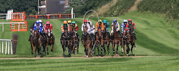 01st Realist and ( 9 , blue and white diamonds ) Trainer - Mrs D Foster , Owner - R Stokes