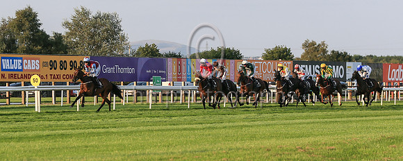 05th Fanoir and ( 4 , maroon, light blue star ) Trainer - C O Dwyer , Owner - Hugo Kane