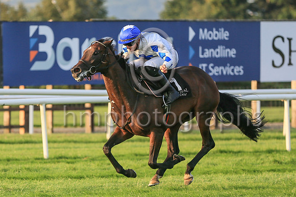 01st Hi Stranger  and ( 1 , white, bue cross ) Trainer - J E Kiely , Owner - Brian Gleeson