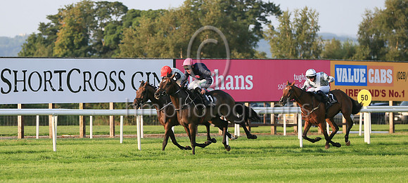 01st Motion In Limine  and ( 11 , black, three pink spots ) Trainer - William P Murphy , Owner - Ms Natasha Langan