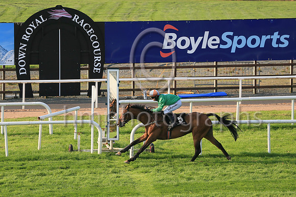 01st Mon Storm  and ( 5 , light green, white diamond ) Trainer - V Wilson , Owner - Victor Wilson