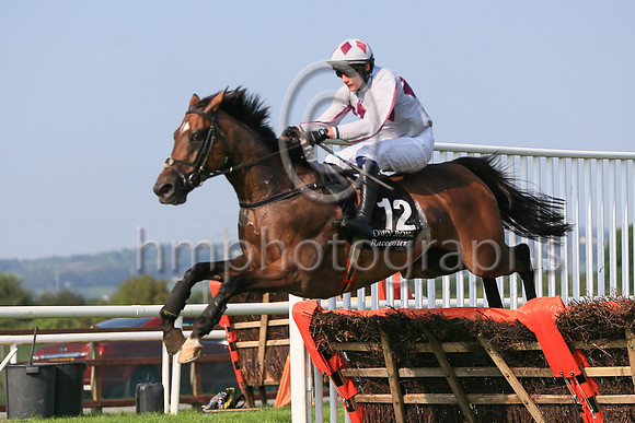 01st Mighty Meggsie and ( 12 , grey, tripple maroon diamonds ) Trainer - Mrs J Harrington , Owner - Mrs E Queally