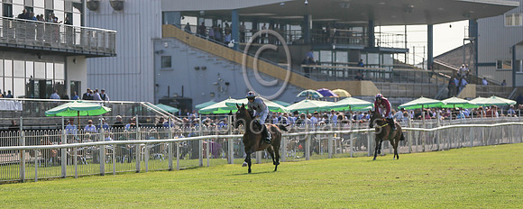 01st Mighty Meggsie and ( 12 , grey, tripple maroon diamonds ) Trainer - Mrs J Harrington , Owner - Mrs E Queally