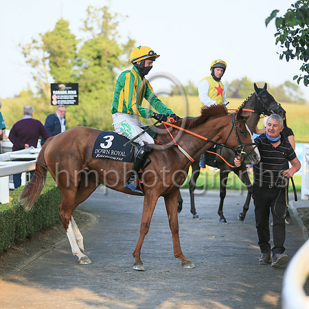 08th Darraughs Diamond and ( 3 , yellow ans blue stripes ) Trainer - D M Christie , Owner - Declan Donohoe