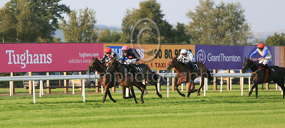01st Motion In Limine  and ( 11 , black, three pink spots ) Trainer - William P Murphy , Owner - Ms Natasha Langan