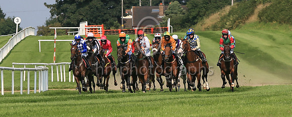01st Realist and ( 9 , blue and white diamonds ) Trainer - Mrs D Foster , Owner - R Stokes