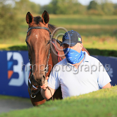 03rd Joyful Kit and ( 5 , black and beige chevrons ) Trainer - E Kent , Owner - Edmond Kent
