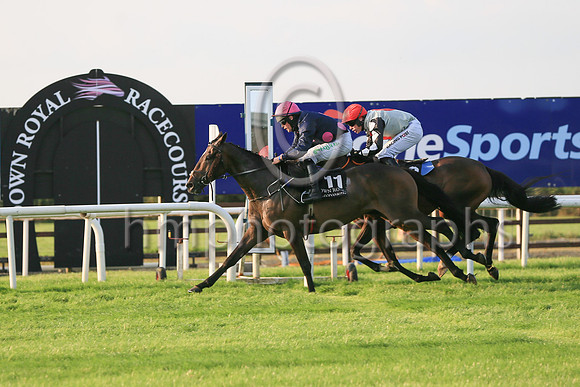 01st Motion In Limine  and ( 11 , black, three pink spots ) Trainer - William P Murphy , Owner - Ms Natasha Langan