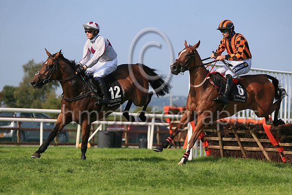 01st Mighty Meggsie and ( 12 , grey, tripple maroon diamonds ) Trainer - Mrs J Harrington , Owner - Mrs E Queally