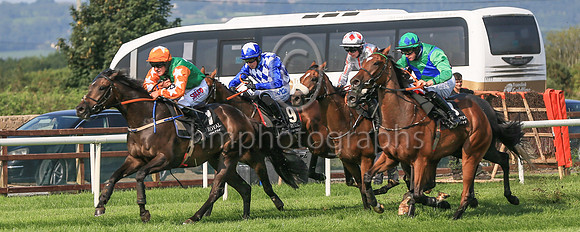 01st Realist and ( 9 , blue and white diamonds ) Trainer - Mrs D Foster , Owner - R Stokes