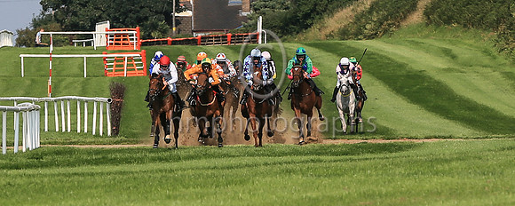 02nd Bell Ex One and ( 3 , green, blue chevron ) Trainer - R P Cody , Owner - Gillian Cody