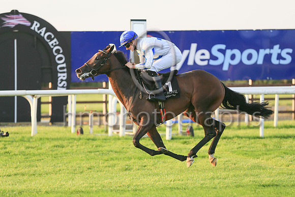 01st Hi Stranger  and ( 1 , white, bue cross ) Trainer - J E Kiely , Owner - Brian Gleeson