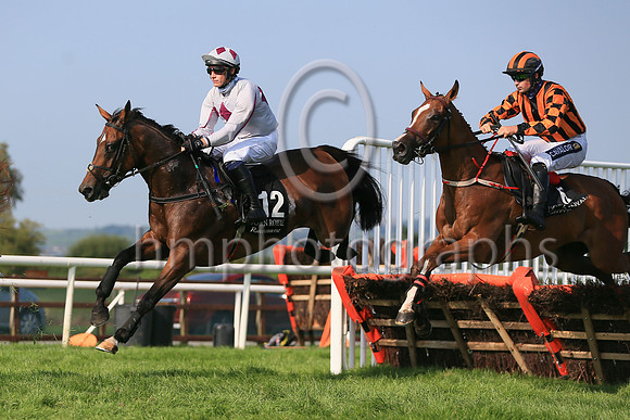 01st Mighty Meggsie and ( 12 , grey, tripple maroon diamonds ) Trainer - Mrs J Harrington , Owner - Mrs E Queally