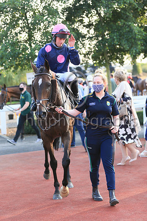 01st Motion In Limine  and ( 11 , black, three pink spots ) Trainer - William P Murphy , Owner - Ms Natasha Langan