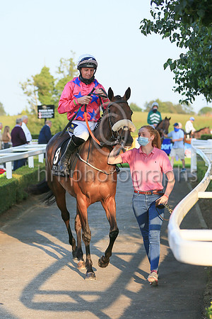 02nd Rocco Bay and ( 8 , pink, blue stars ) Trainer - Peter Fahey , Owner - Ms Bernadette Leigh