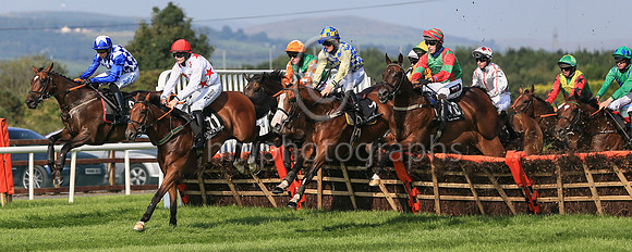 01st Realist and ( 9 , blue and white diamonds ) Trainer - Mrs D Foster , Owner - R Stokes