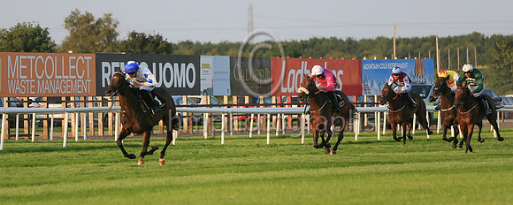 01st Hi Stranger  and ( 1 , white, bue cross ) Trainer - J E Kiely , Owner - Brian Gleeson