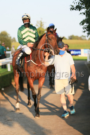 03rd Joyful Kit and ( 5 , black and beige chevrons ) Trainer - E Kent , Owner - Edmond Kent