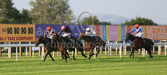 01st Motion In Limine  and ( 11 , black, three pink spots ) Trainer - William P Murphy , Owner - Ms Natasha Langan