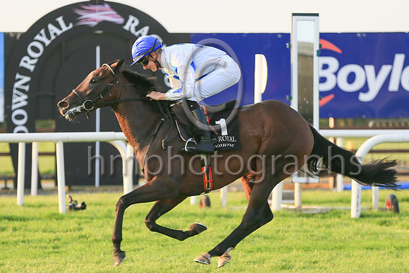 01st Hi Stranger  and ( 1 , white, bue cross ) Trainer - J E Kiely , Owner - Brian Gleeson