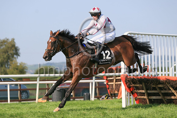 01st Mighty Meggsie and ( 12 , grey, tripple maroon diamonds ) Trainer - Mrs J Harrington , Owner - Mrs E Queally