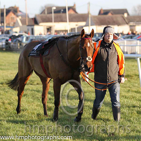 08 Hit The Headlines & R P McNally - Fell (4, royal blue and white qtrd) - FT8E1532-12