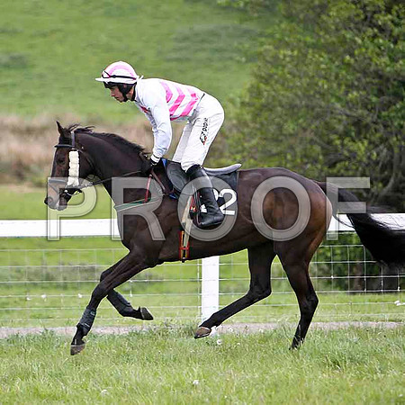 On the Arthur , 5th, Jockey Derek O'Connor  - FT8E2388-e