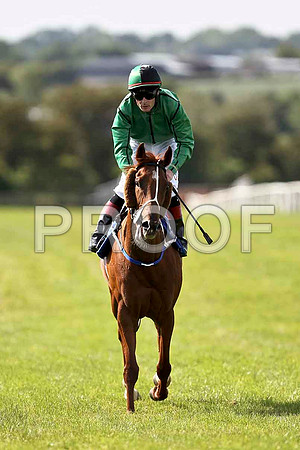 Irish Reel 4th, Jockey P J Smullen - FT8E1603-e
