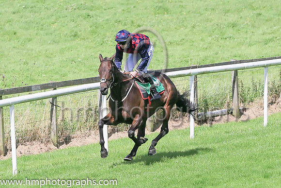 02nd Escort'namix and S F O'Keeffe ( 10 , black, purple spots ) Trainer - G Elliott , Owner - Niall Michael Earls