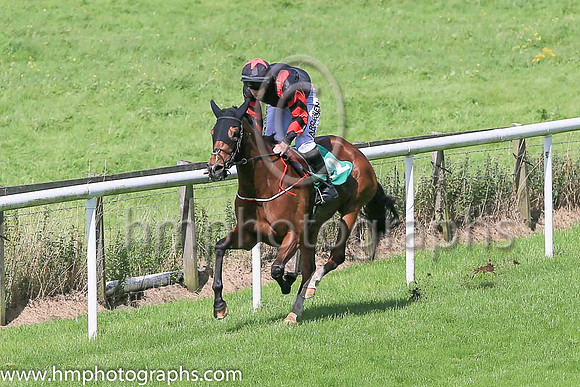 03rd Marmolata and B Hayes ( 12 , black ) Trainer - Emmet Mullins , Owner - Emmet Mullins