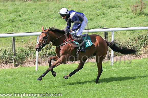 07th Glendruid and M P Fogarty ( 3 , black, white epaulettes ) Trainer - C A Murphy , Owner - Murphys Law Syndicate