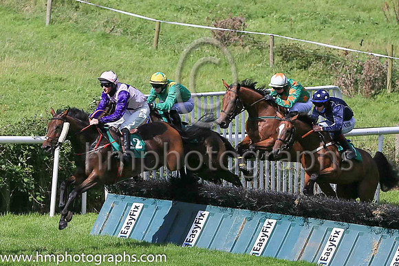 03rd Gone Racing and P T Enright ( 2 , purple, pink diamond ) Trainer - M M McNiff , Owner - Queen Maeve Racing Club