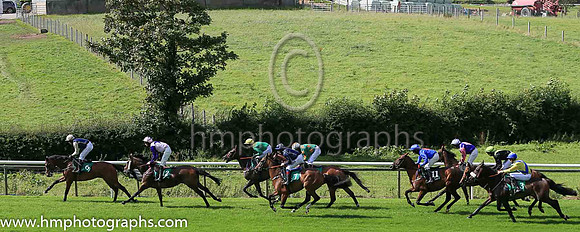 02nd Paula's Prayer? ? and R A Doyle ( 7 , black, white seams ) Trainer - C O'Dwyer , Owner - Mrs Audrey O'Dwyer