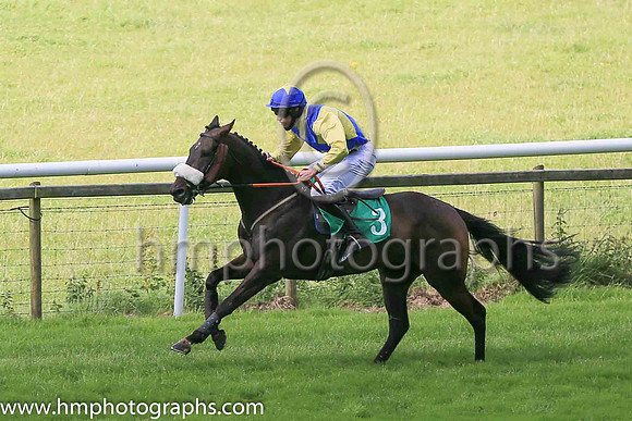 09th Greenandwhitearmy and P J 'O'Hanlon?7 ( 3 , yellow, blue cross sashes ) Trainer - N McKnight , Owner - Neil McKnight