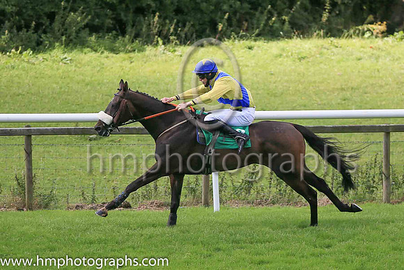 09th Greenandwhitearmy and P J O'Hanlon?7 ( 3 , yellow, blue cross sashes ) Trainer - N McKnight , Owner - Neil McKnight