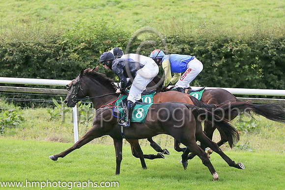 08th Pretty Little Liar and D J Hand ( 8 , green,dark blue stars ) Trainer - D P Dunne , Owner - Pretty Boys Syndicate