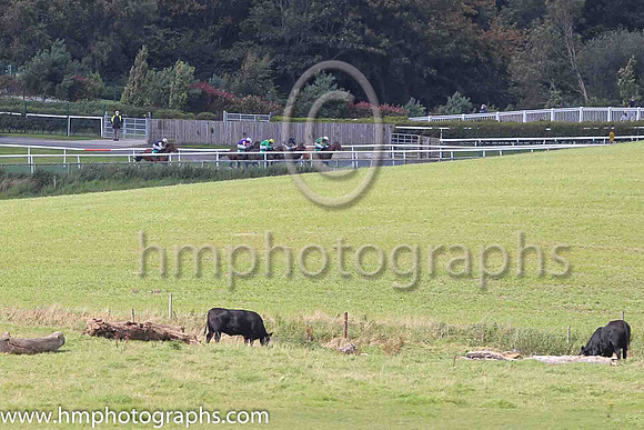 Racing at Downpatrick