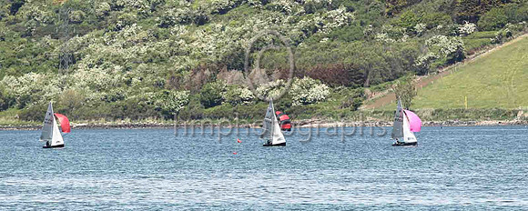 1st, Gold, 14256, Ger Owens & Melanie Morris, Wicklow SC & East Antrim BC - 1, 1, (2), 1, 1, 1 - Total = 7, Nett = 5