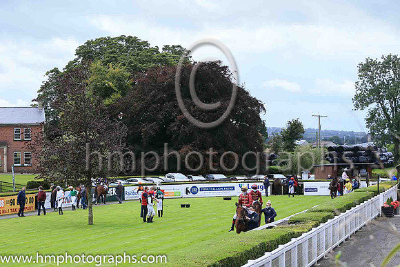 The parade ring at Down Royal