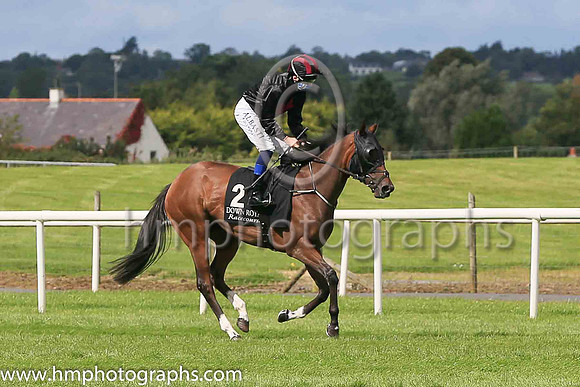 06th Blue Cabochon and C D Hayes ( 2 , Black, red star ) Trainer - J A Stack , Owner - Ms Mary Slack