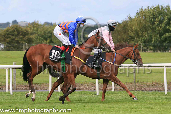 03rd The Blue Garter and C T Keane ( 10 , Blue and beige chevrons ) Trainer - N Meade , Owner - Joseph Duke