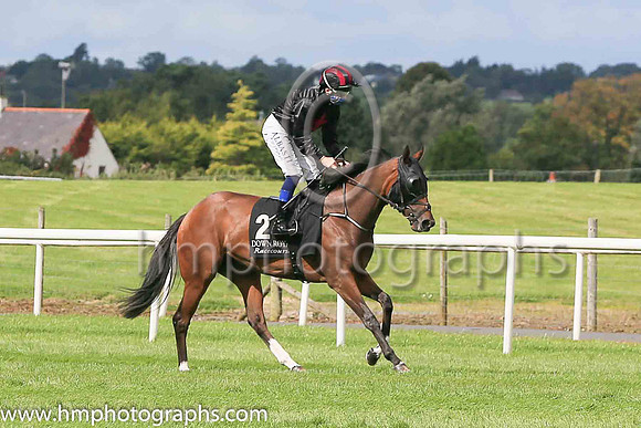 06th Blue Cabochon and C D Hayes ( 2 , Black, red star ) Trainer - J A Stack , Owner - Ms Mary Slack